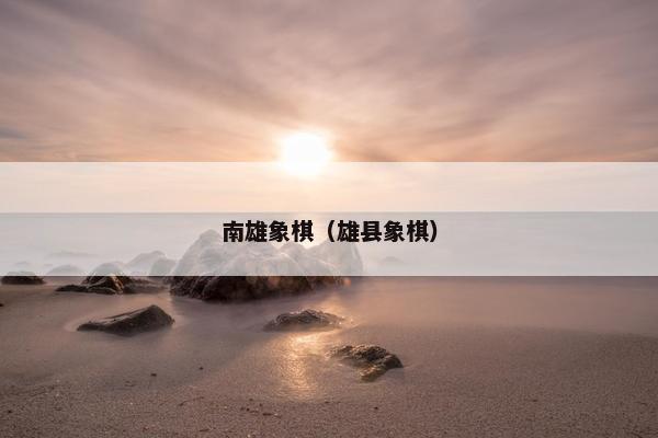 南雄象棋（雄县象棋）