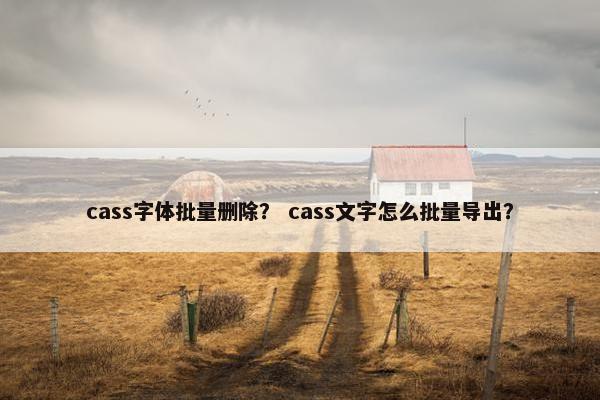 cass字体批量删除？ cass文字怎么批量导出？