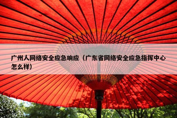 广州人网络安全应急响应（广东省网络安全应急指挥中心怎么样）