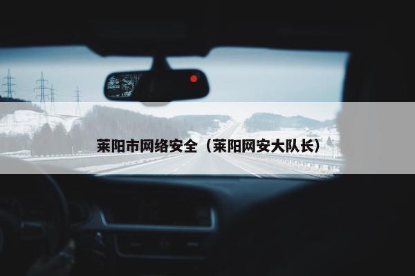 莱阳市网络安全（莱阳网安大队长）