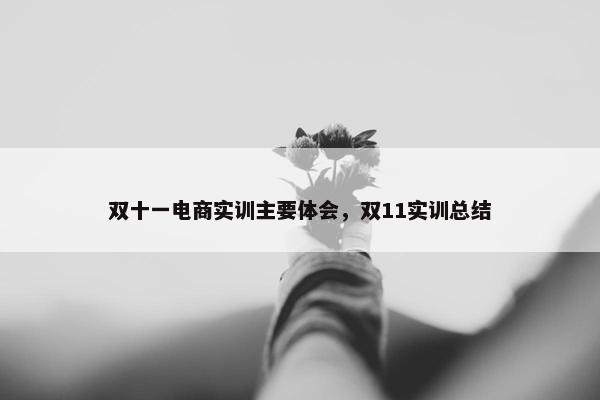 双十一电商实训主要体会，双11实训总结