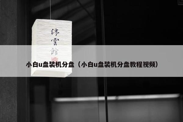 小白u盘装机分盘（小白u盘装机分盘教程视频）