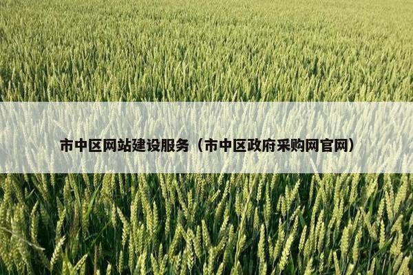 市中区网站建设服务（市中区政府采购网官网）