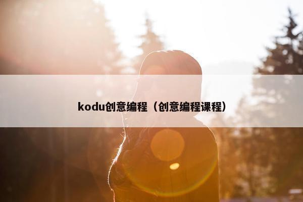 kodu创意编程（创意编程课程）