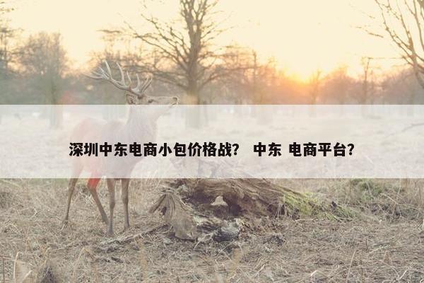 深圳中东电商小包价格战？ 中东 电商平台？