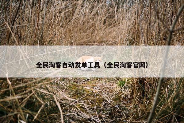 全民淘客自动发单工具（全民淘客官网）
