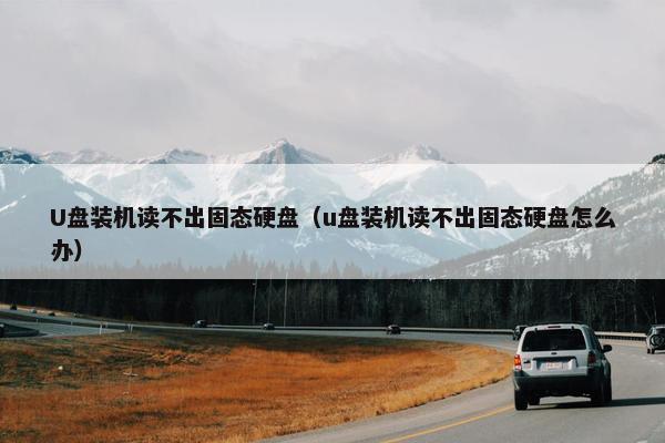 U盘装机读不出固态硬盘（u盘装机读不出固态硬盘怎么办）