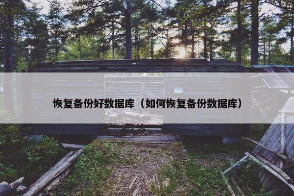 恢复备份好数据库（如何恢复备份数据库）
