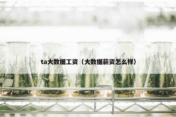 ta大数据工资（大数据薪资怎么样）