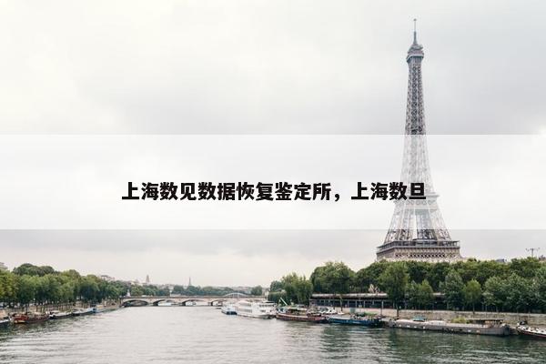 上海数见数据恢复鉴定所，上海数旦