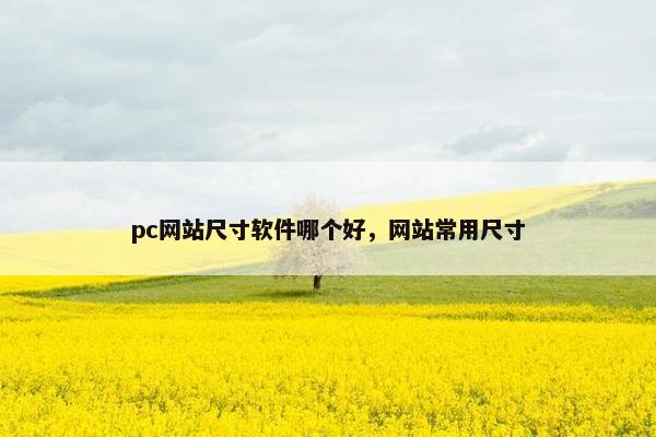 pc网站尺寸软件哪个好，网站常用尺寸