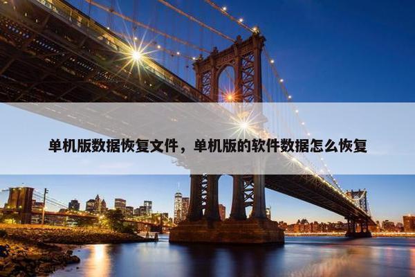 单机版数据恢复文件，单机版的软件数据怎么恢复