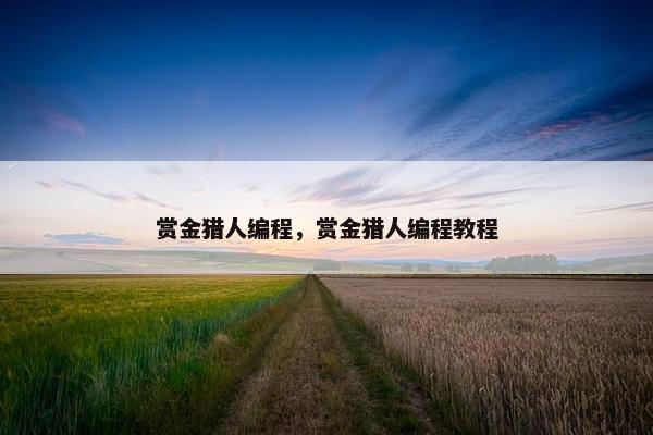 赏金猎人编程，赏金猎人编程教程