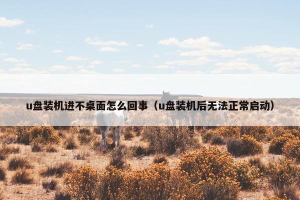 u盘装机进不桌面怎么回事（u盘装机后无法正常启动）
