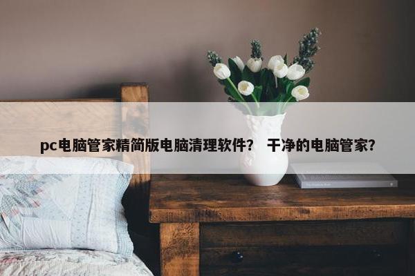 pc电脑管家精简版电脑清理软件？ 干净的电脑管家？