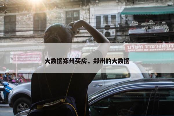 大数据郑州买房，郑州的大数据
