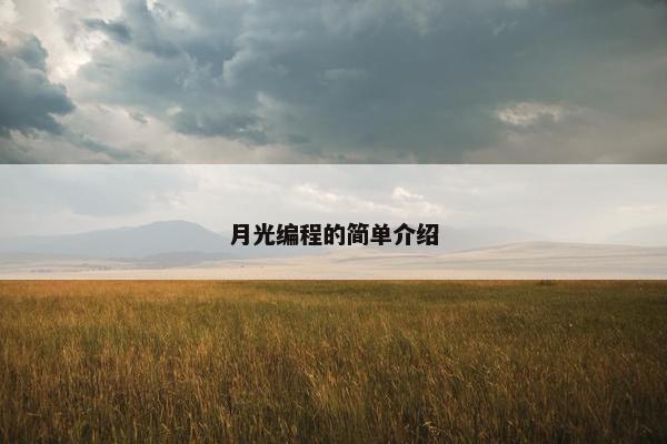 月光编程的简单介绍