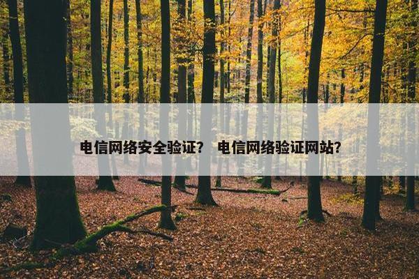 电信网络安全验证？ 电信网络验证网站？