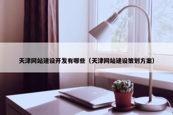 天津网站建设开发有哪些（天津网站建设策划方案）