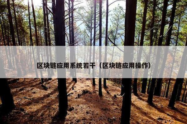 区块链应用系统若干（区块链应用操作）