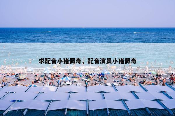求配音小猪佩奇，配音演员小猪佩奇