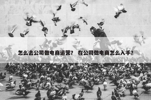 怎么去公司做电商运营？ 在公司做电商怎么入手？