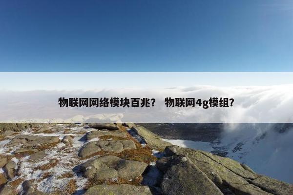 物联网网络模块百兆？ 物联网4g模组？
