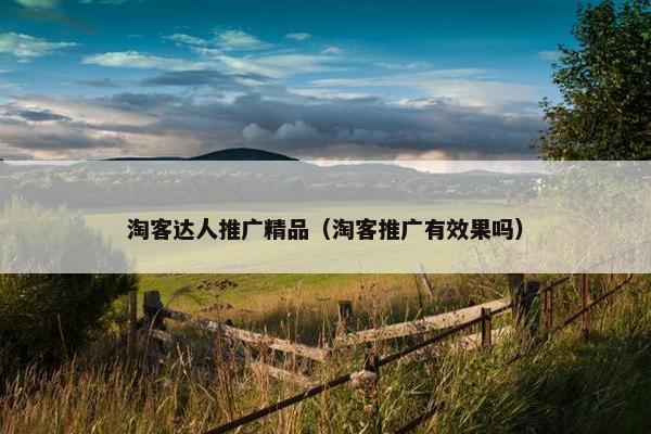 淘客达人推广精品（淘客推广有效果吗）