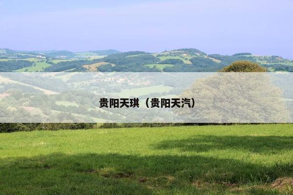 贵阳天琪（贵阳天汽）