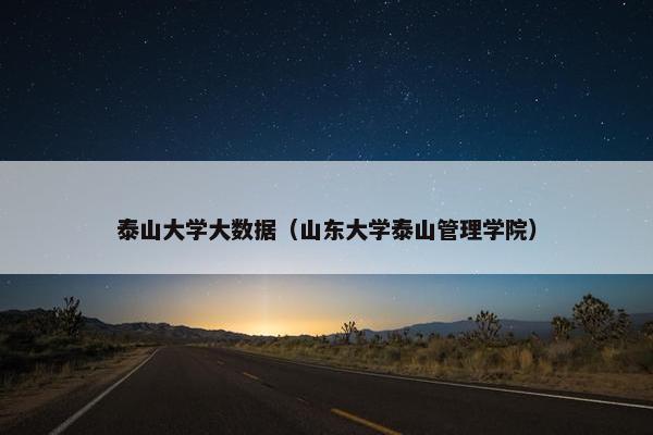 泰山大学大数据（山东大学泰山管理学院）