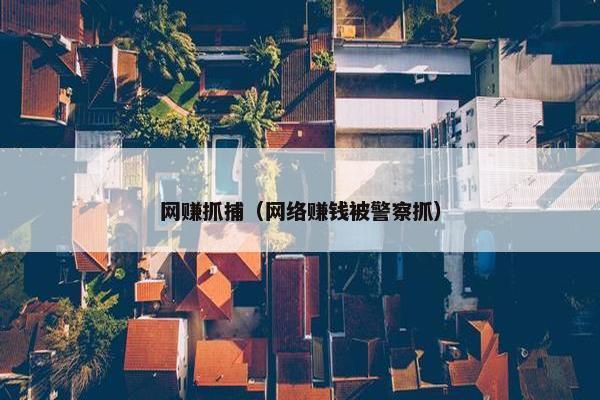 网赚抓捕（网络赚钱被警察抓）