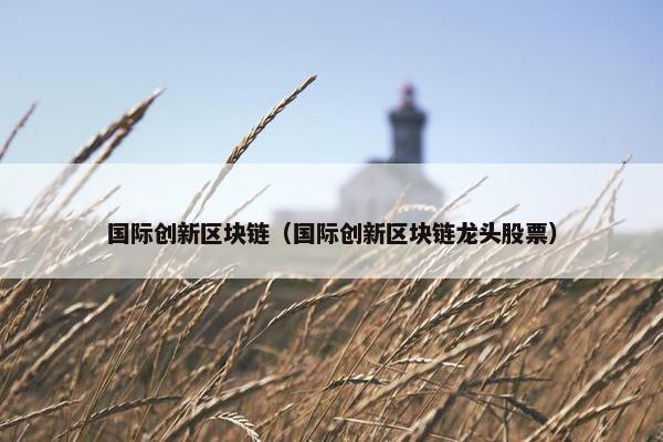 国际创新区块链（国际创新区块链龙头股票）