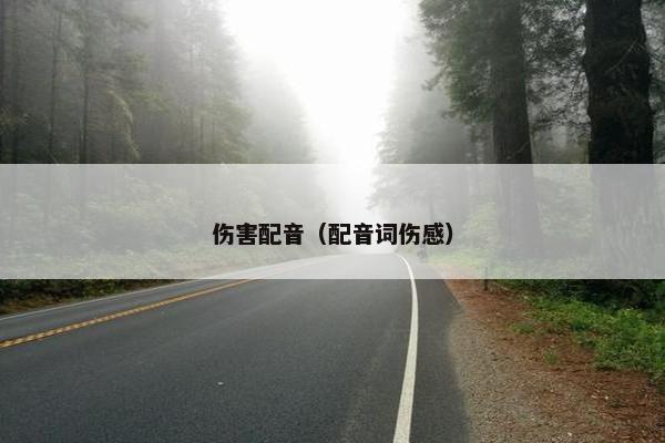 伤害配音（配音词伤感）