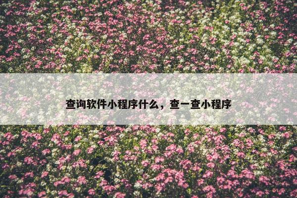查询软件小程序什么，查一查小程序