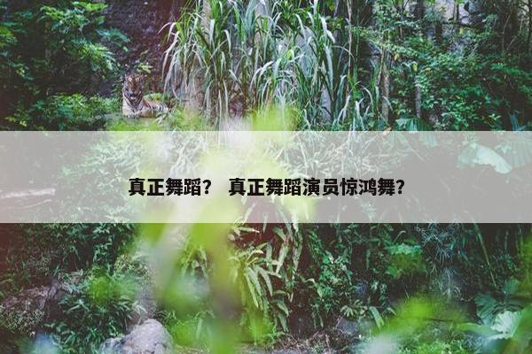 真正舞蹈？ 真正舞蹈演员惊鸿舞？