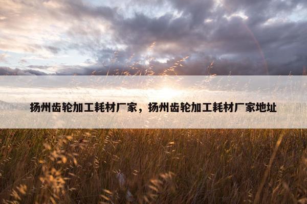 扬州齿轮加工耗材厂家，扬州齿轮加工耗材厂家地址