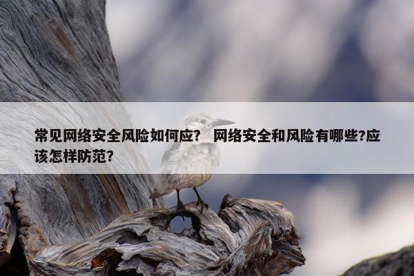 常见网络安全风险如何应？ 网络安全和风险有哪些?应该怎样防范？