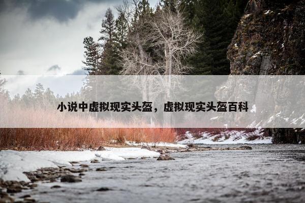 小说中虚拟现实头盔，虚拟现实头盔百科