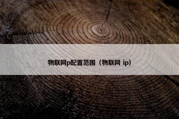 物联网p配置范围（物联网 ip）