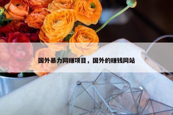 国外暴力网赚项目，国外的赚钱网站