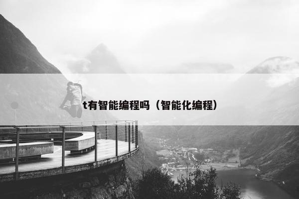 t有智能编程吗（智能化编程）