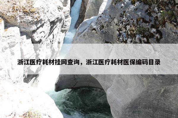 浙江医疗耗材挂网查询，浙江医疗耗材医保编码目录