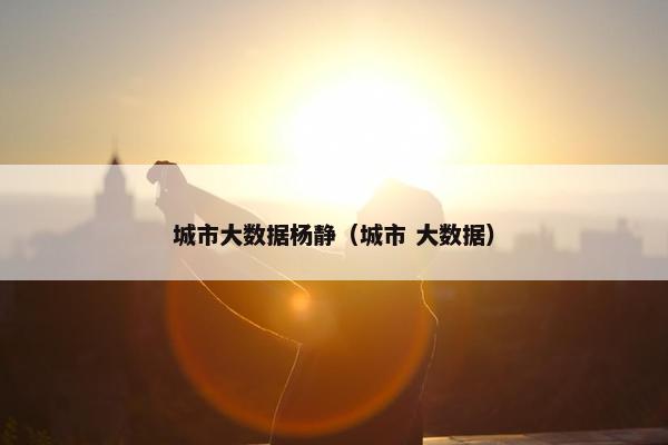 城市大数据杨静（城市 大数据）