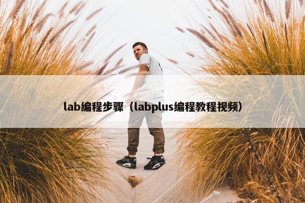 lab编程步骤（labplus编程教程视频）