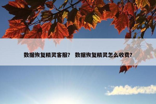 数据恢复精灵客服？ 数据恢复精灵怎么收费？