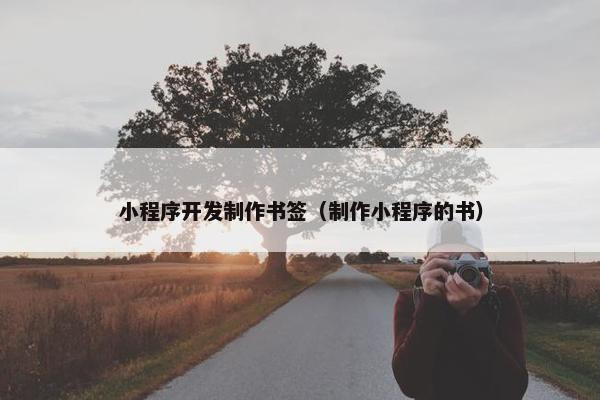 小程序开发制作书签（制作小程序的书）