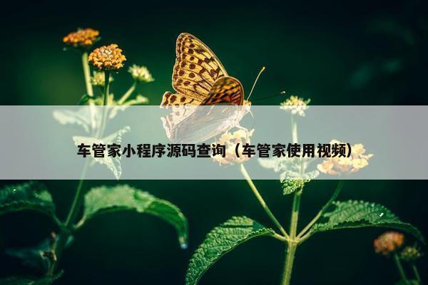 车管家小程序源码查询（车管家使用视频）