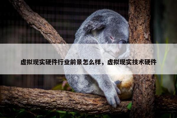 虚拟现实硬件行业前景怎么样，虚拟现实技术硬件