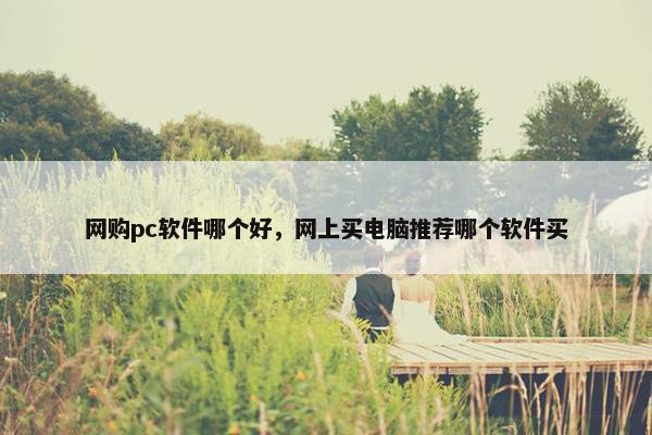 网购pc软件哪个好，网上买电脑推荐哪个软件买