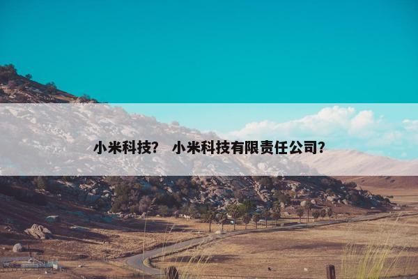 小米科技？ 小米科技有限责任公司？